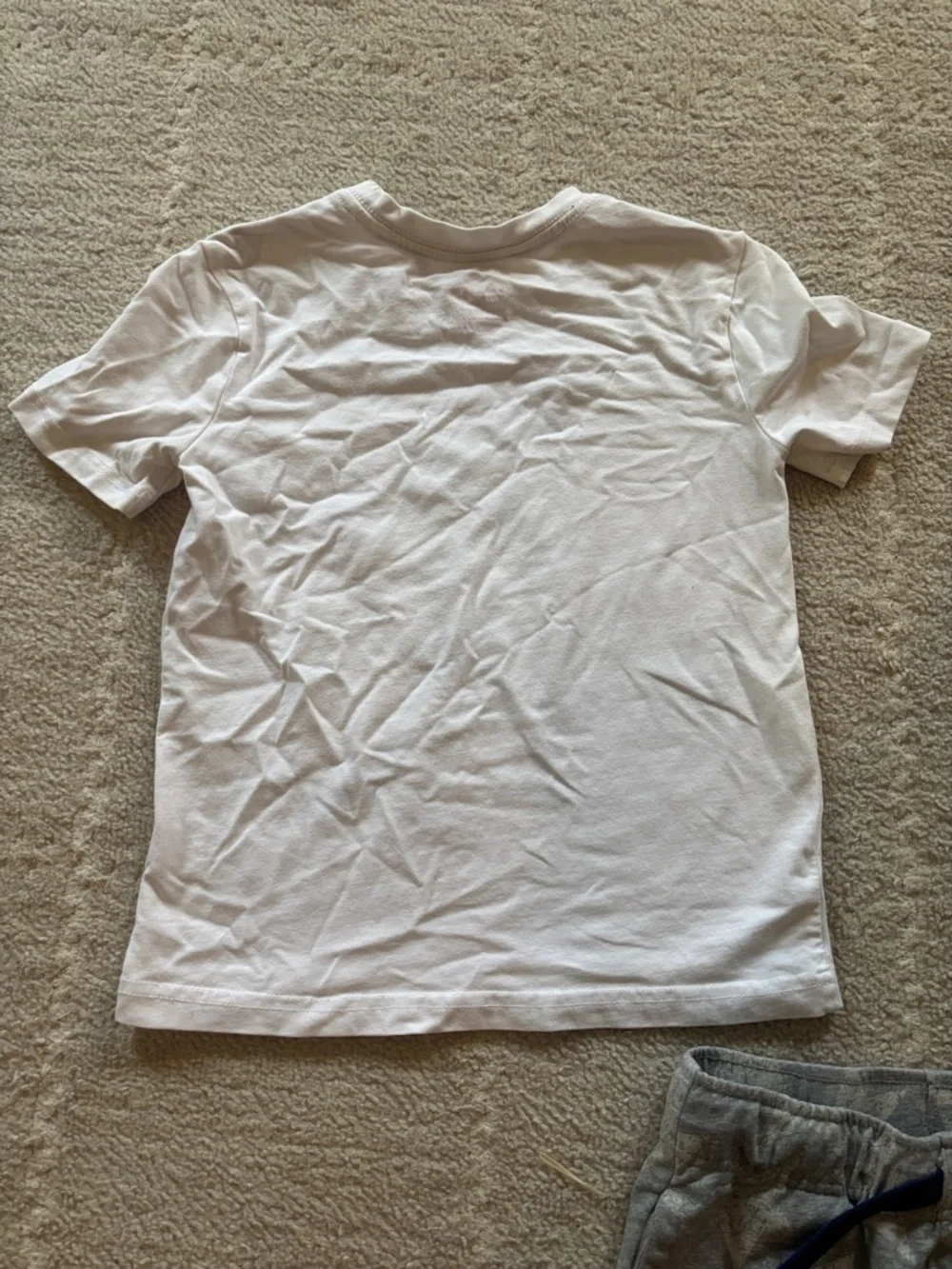 Tommy Bahama White Tee with Blue Dinosaur & Gray Star Shorts